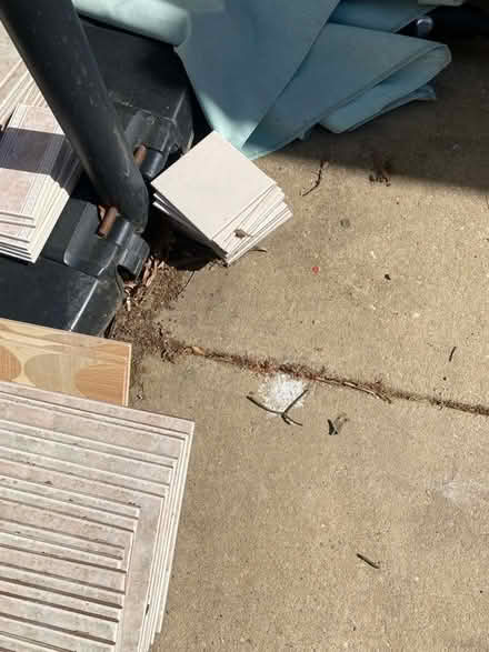 Photo of free Tile (Landover hills) #3