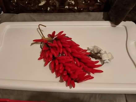 Photo of free Chili lights (EH6 leith) #1