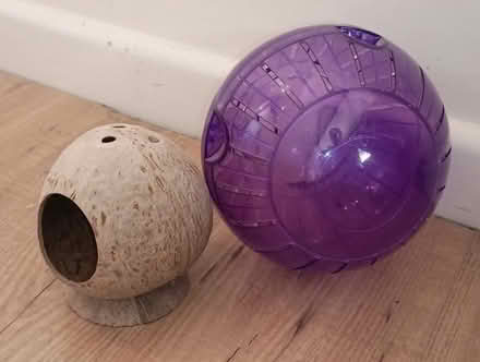 Photo of free Hamster ball and cage toy (Chapeltown S35) #1