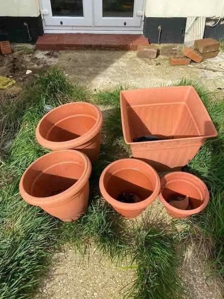 Photo of free Plastic Plant Pots (Runcton PO20) #1