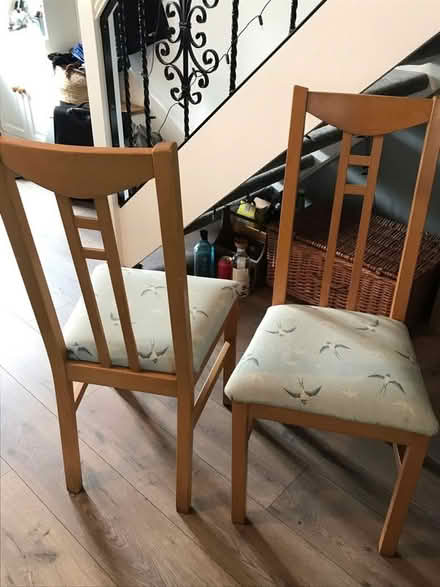 Photo of free 4 dining chairs (TR11) #2