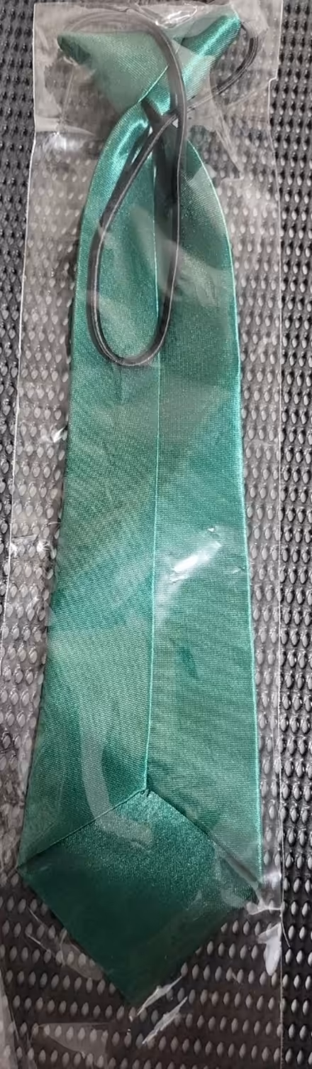 Photo of free 18 x Green Metallic look clip on ties (for parties, events) (Caversham RG4) #1