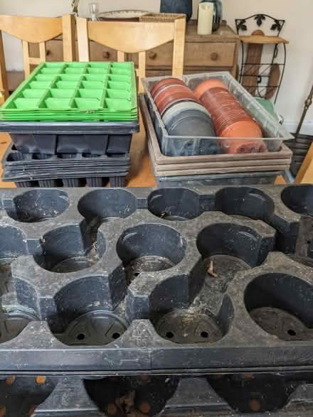 Photo of free Various plant pots and seed trays (Barnehurst DA7) #2