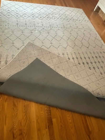Photo of free Neutral Area Rug 6.5’x9’ feet (Capitol Hill) #3