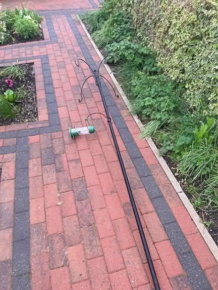 Photo of free Bird feeder (Tavistock) #1