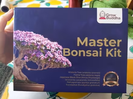 Photo of free Grow your own bonsai kit (Cheshunt EN8) #1