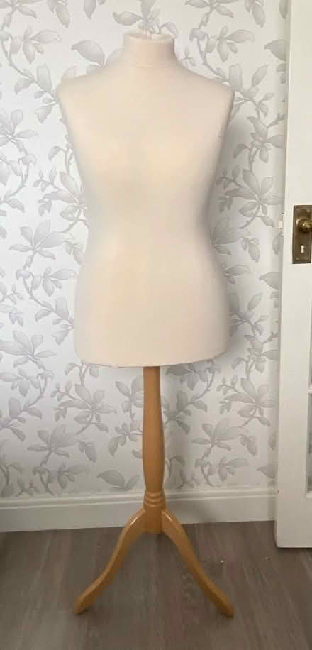 Photo of free Tailor’s dummy, size 16 (Chessington KT9) #1