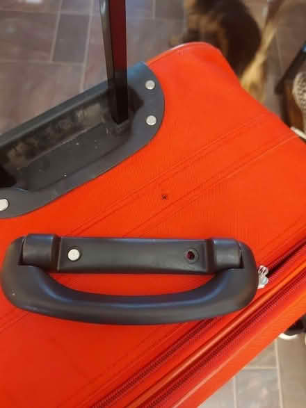 Photo of free Suitcase (Battle Hill NE28) #2
