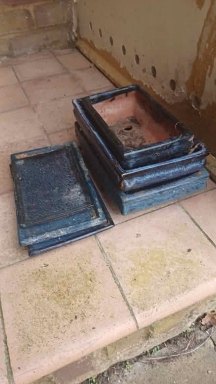 Photo of free Bonsai plant pots (Great Linford MK14) #1