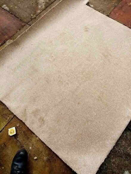 Photo of free Small piece of new carpet (Horsforth LS18) #1