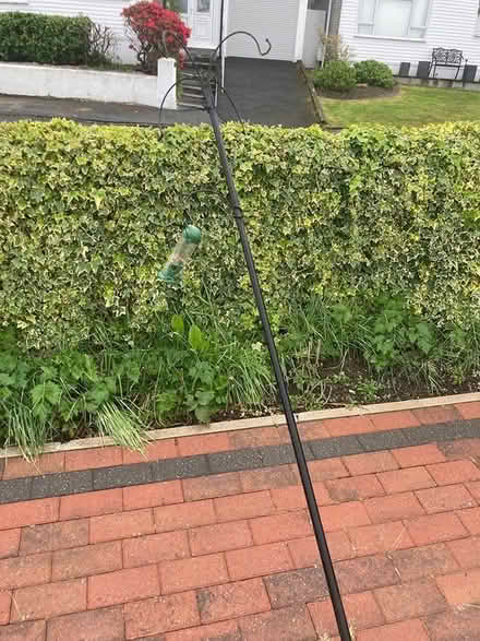 Photo of free Bird feeder (Tavistock) #2
