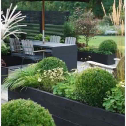 Photo of Garden plants (Ecclesall) #1