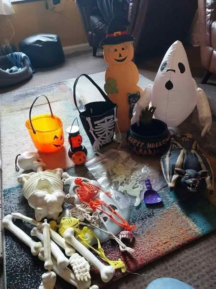 Photo of free Various Halloween items (Endmoor LA8) #1