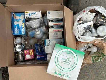 Photo of free Big Box o' Light Bulbs (Ulster Park) #1