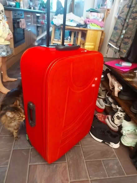 Photo of free Suitcase (Battle Hill NE28) #1
