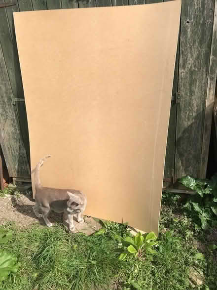 Photo of free 3mm Hardboard sheet (CT11) #1