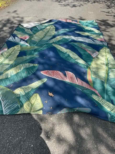 Photo of free Target indoor/outdoor rug (Arlington, VA) #1