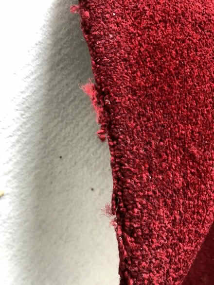 Photo of free large carpet (Chorlton M21) #3