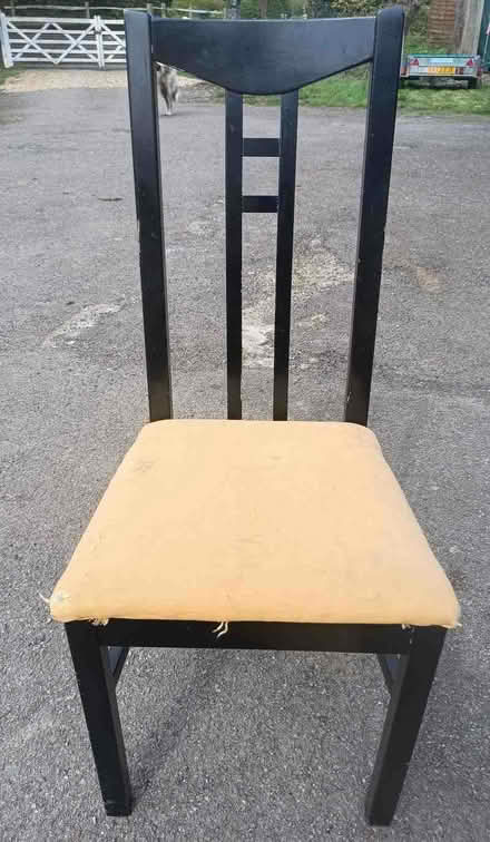 Photo of free Dining Chairs x 6 for recovering (Denmead PO7) #3