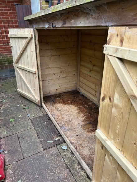 Photo of free Shed (Muswell Hill N10) #2