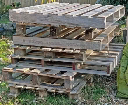 Photo of free Standard wooden pallets (Hayling Island PO11) #1