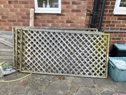 Photo of free Garden trellis panels 3ft x 6ft (Petts Wood BR5) #1