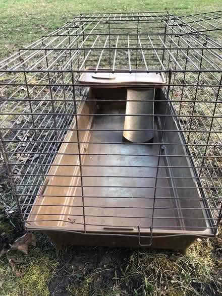 Photo of free Small animal cage (jordan) #1