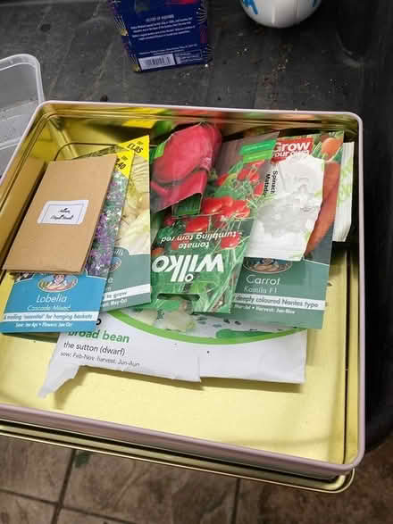 Photo of free Seeds (Elson PO12) #1