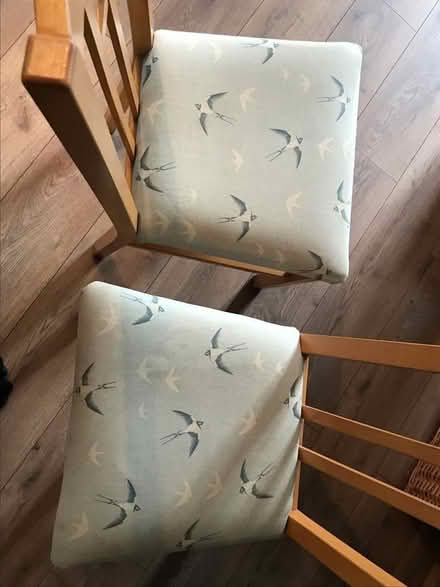 Photo of free 4 dining chairs (TR11) #3