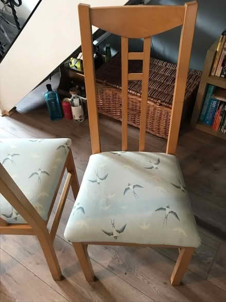 Photo of free 4 dining chairs (TR11) #4