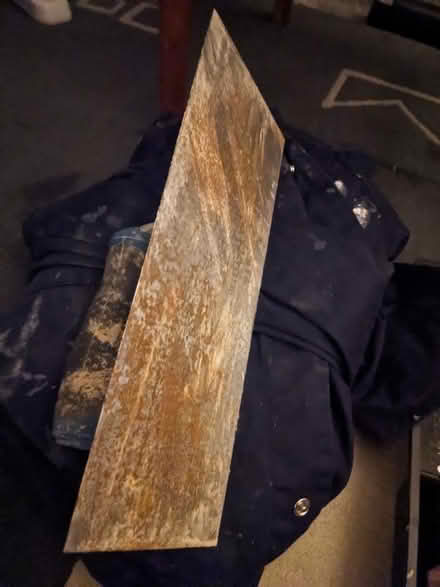 Photo of free Plastering tools (Biddenham, Bedford) #2