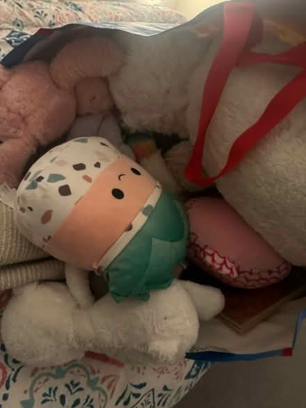 Photo of free Soft toys/books/sleeping bag (UB5) #2