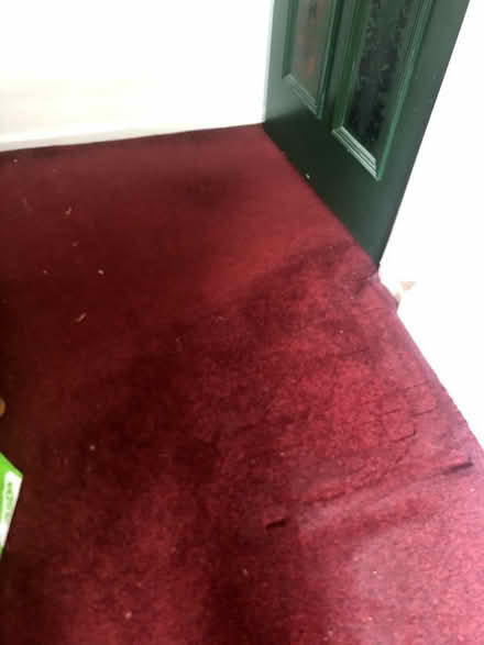 Photo of free large carpet (Chorlton M21) #2