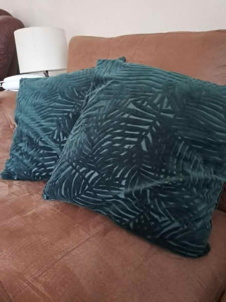 Photo of free Green palm tree cushions (Luton) #1