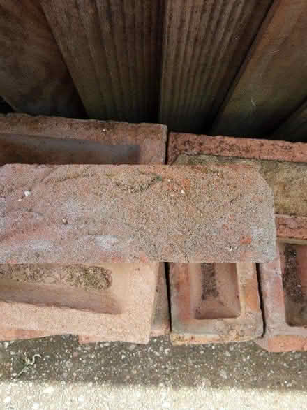 Photo of free Bricks (Witham CM8) #2