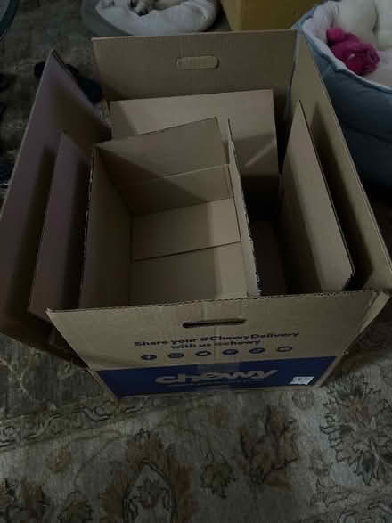 Photo of free Boxes for moving & packing paper (Bryn Mawr PA) #1