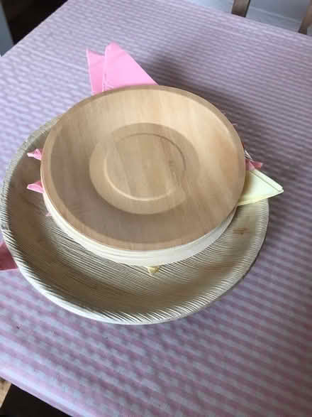 Photo of free Bamboo plates (Off Woodbridge road IP4) #1