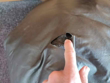 Photo of free Bean-bag (Eaton NR4) #2