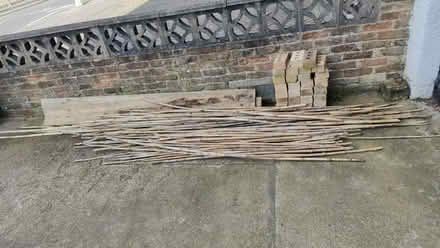 Photo of free Bamboo (DA16) #1