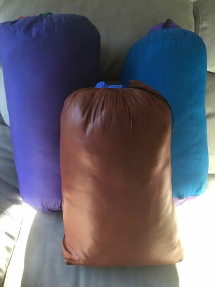 Photo of free 3 Sleeping Bags (Woking GU22) #1
