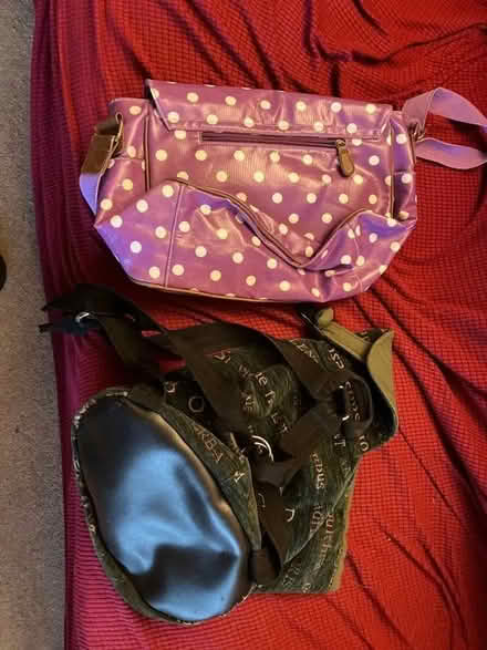 Photo of free 2 small bags (Tilehurst RG31) #1