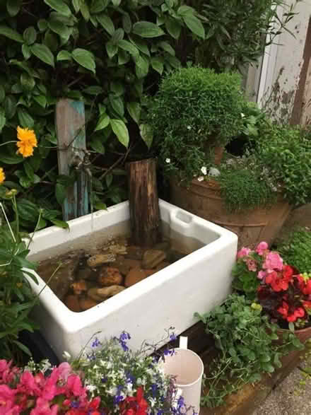 Photo of Sink or bath for garden pond (IP4) #1