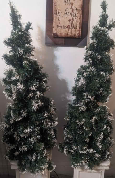 Photo of free Decorative little trees (Dc) #1