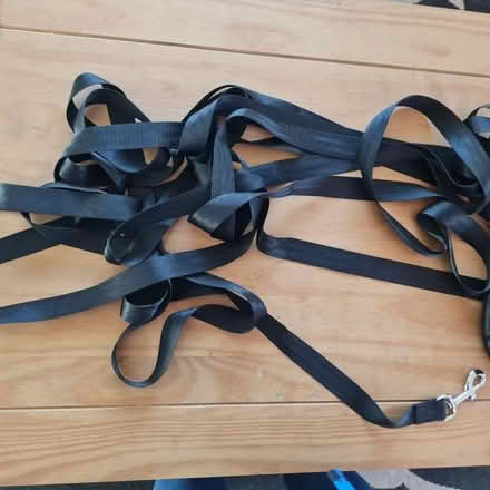 Photo of free Dog training lead (Northfield B31) #1