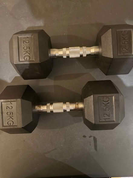 Photo of free 12.5kg dumbbells (Pimlico SW1V) #1