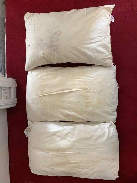 Photo of free 3 pillows (Staines TW18) #1