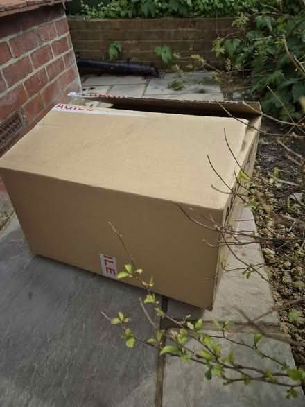 Photo of free 5x cardboard boxes (Lewes BN7) #1