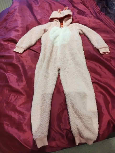 Photo of free Rabbit onesie age9 John lewis (Woodmancote GL52) #2