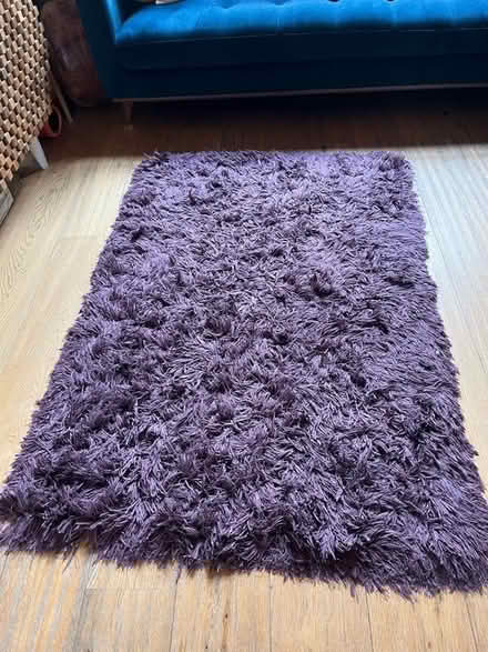 Photo of free Purple rug (Brighton North Laine) #1