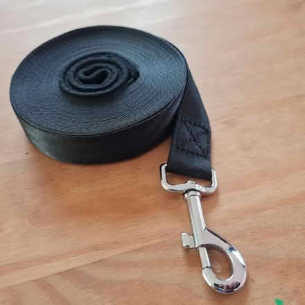 Photo of free Dog training lead (Northfield B31) #2